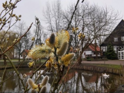 Фото: Das gastliche Dorf